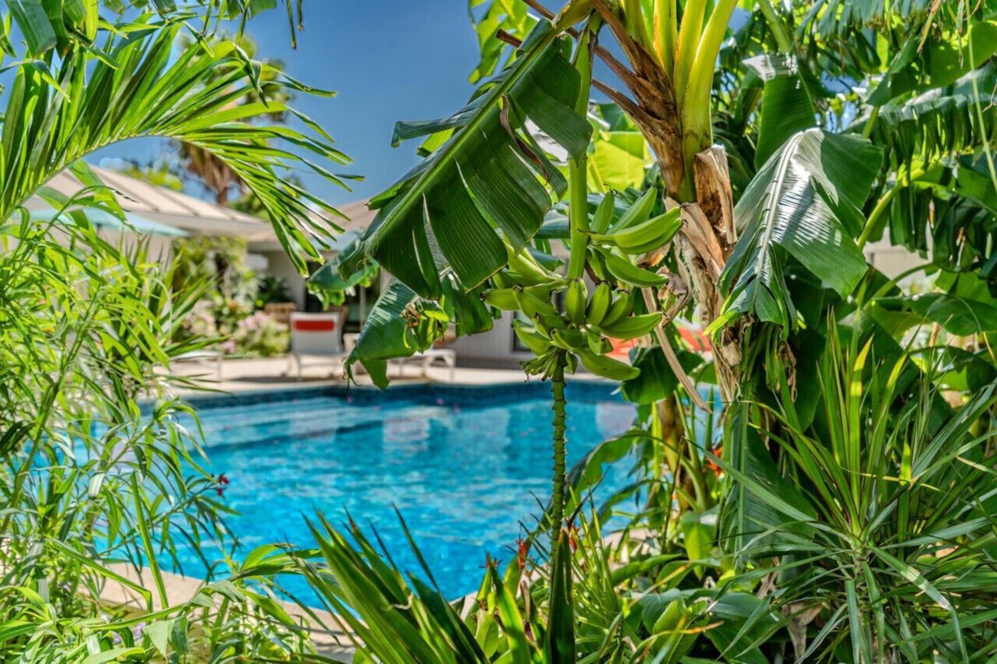 Royal Villa With A Huge Swimming Pool Cowell Battery Buitenkant foto